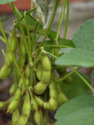 2010-07-24 2010-07-26 6-60.JPG